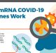 First mRNA-Based COVID 19 Vaccine Gets Nod for Phase II/III Trial