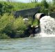 Study Finds High Level of Pharma Contaminants in Cauvery