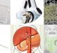 Facility to Help MedTech Startups