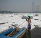 Controlling Increasing Pollution of Water in Yamuna