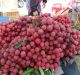 Government Promoting Exports of GI-Tagged Niche Agricultural Products