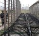 Crossing Borders: An Enigma for Humans