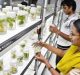 India is Nearing to Joining the League of Top 10 in Biotech: PM