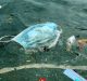 Where Does Your Trash Go?