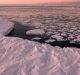 Warm Northerly Winds Contributed to Antarctic Sea Ice to Reduce