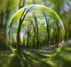 Green Budgeting: The Road to be Taken