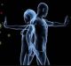 New Insights into Strategy Game of Human Immune System