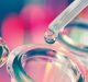 Adjuvant Molecules to Fight Antibiotic Resistance