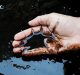 Researchers Offer a New Approach to Lower Fossil Fuel Use